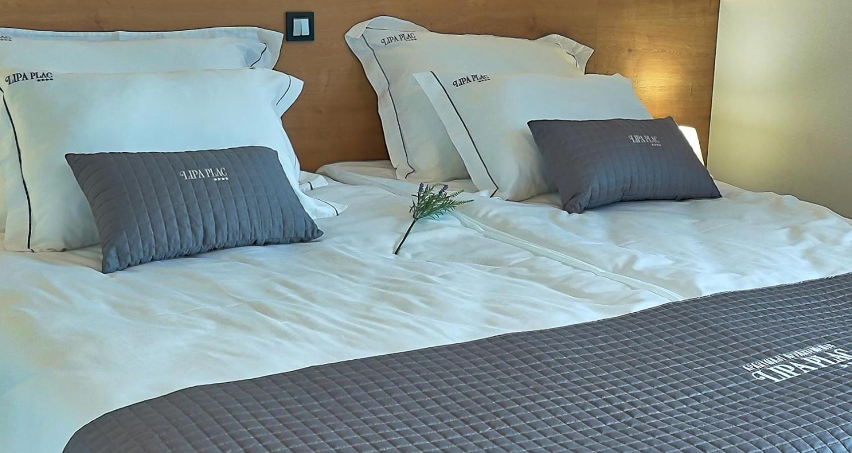 Apartments Lipa Plac Postojna Zewnętrze zdjęcie
